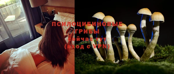 хмурый Нефтегорск