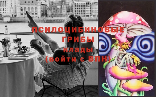амф Наволоки