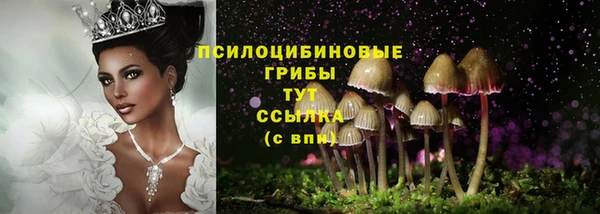 хмурый Нефтегорск