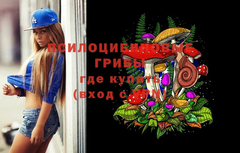 Галлюциногенные грибы MAGIC MUSHROOMS  Починок 